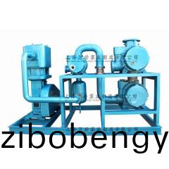 JZJWLW型(xing)儸茨(ci)徃復(fù)真(zhen)空泵(beng)機(jī)組