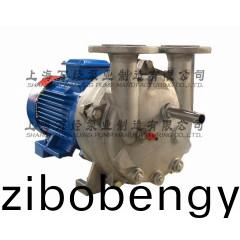 2BV5110型(xing)水環(huán)式真空泵