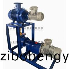 JZJ2B300+2BV6131型(xing)水(shui)環(huán)(huan)儸(luo)茨真空(kong)泵機(ji)組(zu)