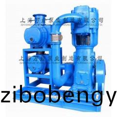 JZJWLW1200+600+WLW-300型(xing)儸茨徃復(fù)真(zhen)空泵(beng)機(jī)(ji)組