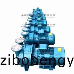 2BV型(xing)水環(huán)(huan)式真空泵