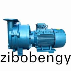 2BV5161型(xing)水(shui)環(huán)式(shi)真(zhen)空泵(beng)
