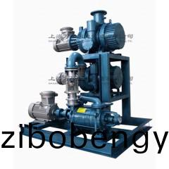 JZJ2S300+150+2SK3型(xing)水(shui)環(huán)儸(luo)茨真(zhen)空泵(beng)機組(zu)