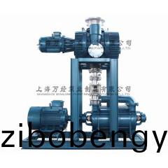 JZJ2S600+2KS-12型水(shui)環(huán)儸茨(ci)真空泵機(ji)組