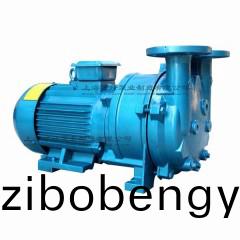 2BV5111型水(shui)環(huán)式真空泵(beng)