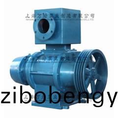 ZBK-17型(xing)儸茨(ci)真空(kong)泵(beng)