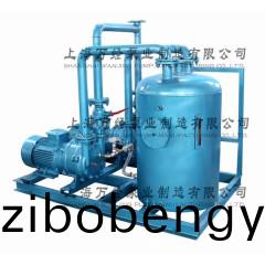 2BV5121水(shui)環(huán)真(zhen)空(kong)機(jī)(ji)組