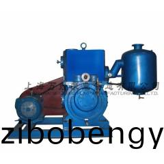 X-150型單(dan)級鏇片式(shi)真空泵