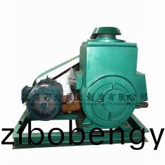 2X型(xing)鏇(xuan)片式真空泵