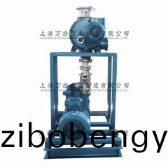 JZJ2S600+2KS-12型(xing)水環(huán)(huan)儸茨真空泵(beng)機組(zu)