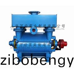 2BE1-252型(xing)水(shui)環(huán)式(shi)真空泵