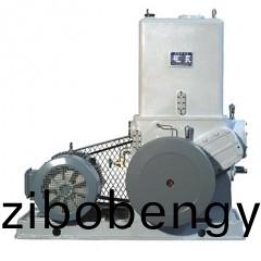 H滑(hua)閥(fa)式真空(kong)泵