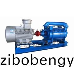 2SK-12型(xing)水(shui)環(huán)式真空(kong)泵(beng)