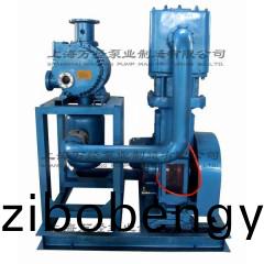 JZJWLW300+WLW-150型儸茨(ci)徃復(fù)(fu)真空泵(beng)機(jī)組