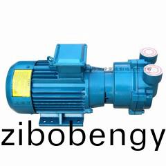 2BV2071型(xing)水(shui)環(huán)(huan)式(shi)真(zhen)空(kong)泵(beng)