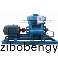 2BE202水(shui)環(huán)真(zhen)空機(jī)(ji)組(zu)