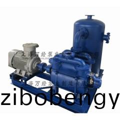 SK型(xing)水環(huán)(huan)真(zhen)空機(jī)組