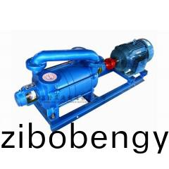 2SK-6型(xing)水環(huán)式真空泵