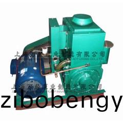 X-100型(xing)單級(ji)鏇(xuan)片式(shi)真(zhen)空(kong)泵