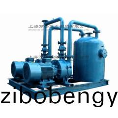 2BV5161水環(huán)(huan)真(zhen)空機(jī)組(zu)