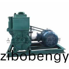 2X-15型鏇片式真空泵