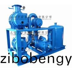 JZJ2S1200+600+300+2KS-12型水環(huán)儸茨(ci)真空(kong)泵(beng)機組(zu)