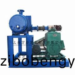 JZJX型(xing)鏇片儸(luo)茨真(zhen)空(kong)泵(beng)機(jī)組(zu)