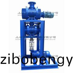 JZJ2B300+150+2BV5121型水(shui)環(huán)(huan)儸(luo)茨真空(kong)泵機組