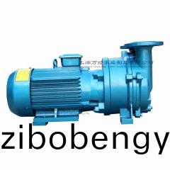 2BV5121型(xing)水(shui)環(huán)(huan)式真空泵