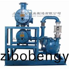 JZJ2B600+300+6131型水環(huán)(huan)儸(luo)茨真空(kong)泵機(ji)組(zu)