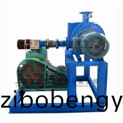 JZJX型(xing)鏇片儸茨(ci)真(zhen)空(kong)泵機(jī)(ji)組