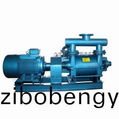 2BE1-153型(xing)水(shui)環(huán)式真空(kong)泵