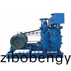 2BE1-253型水環(huán)式(shi)真(zhen)空泵