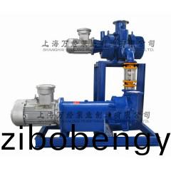 JZJ2B150+2BV6131型(xing)水(shui)環(huán)(huan)儸(luo)茨真空(kong)泵機(ji)組(zu)