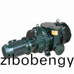 ZJ型(xing)儸(luo)茨(ci)真空(kong)泵