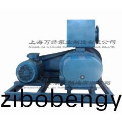 ZBK-13型(xing)儸(luo)茨(ci)真空(kong)泵(beng)