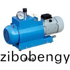 WX型(xing)無油鏇片(pian)式(shi)真空(kong)泵