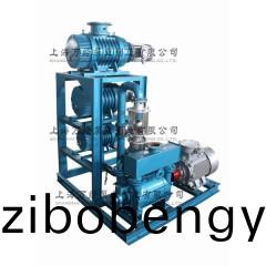 JZJ2BE型(xing)水(shui)環(huán)儸(luo)茨(ci)真空(kong)泵機(ji)組