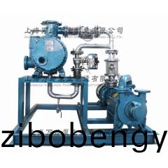 JZJ2S300+2KS-6型水環(huán)儸茨(ci)真(zhen)空(kong)泵機(ji)組(zu)