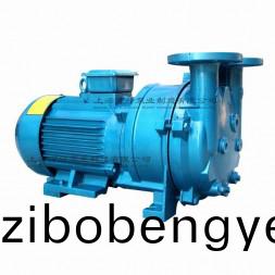 2BV5111型水(shui)環(huán)式真(zhen)空(kong)泵(beng)