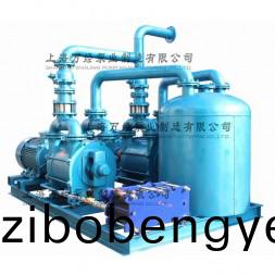 2BE203水環(huán)真(zhen)空機(jī)(ji)組(zu)