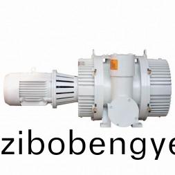 ZJP型儸(luo)茨(ci)真(zhen)空泵(beng)