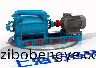 2SK係(xi)列(lie)水(shui)環(huán)(huan)式(shi)真(zhen)空泵(beng)的內(nèi)部(bu)結(jié)構(gòu)－分(fen)解(jie)視頻(pin)