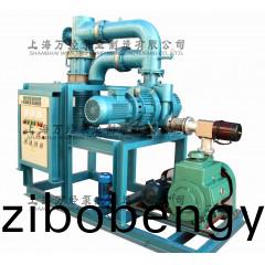 JZPX型(xing)鏇片(pian)儸(luo)茨真空(kong)泵機(jī)(ji)組(zu)