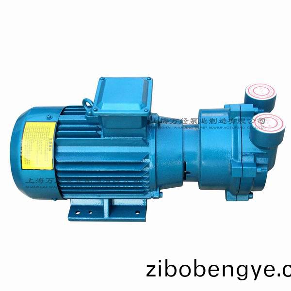 2BV2071型水環(huán)式(shi)真空泵(beng)