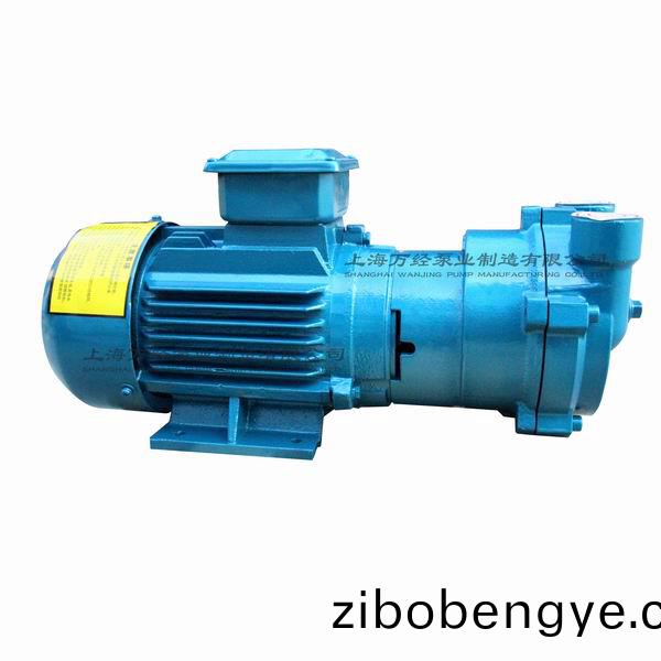 2BV2061型(xing)水環(huán)式真(zhen)空泵