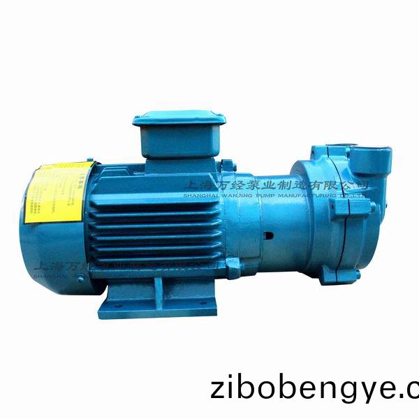 2BV2060型(xing)水(shui)環(huán)式真空(kong)泵(beng)