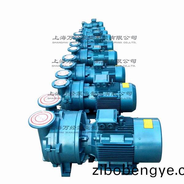 2BV型(xing)水環(huán)(huan)式(shi)真(zhen)空泵(beng)