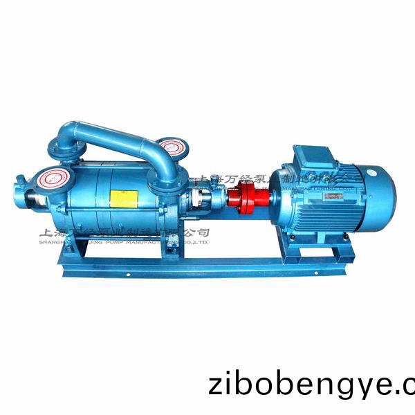 2SK型(xing)水環(huán)(huan)式(shi)真空泵(beng)