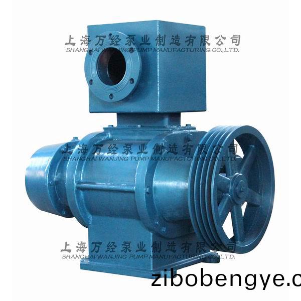 ZBK-17型儸茨真空泵